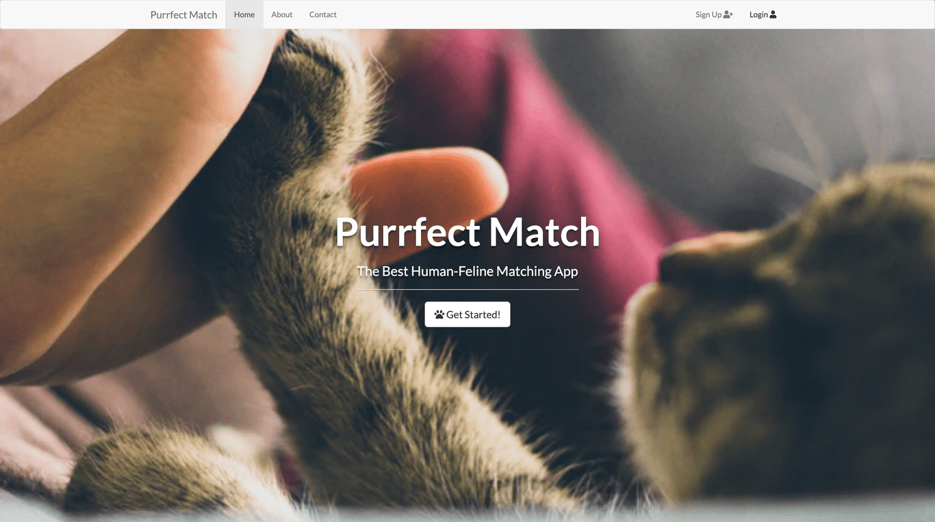 Startup Landing Page